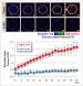 An OsCEBiP/OsCERK1-OsRacGEF1-OsRac1 Module Is an Essential Early Component of Chitin-Induced Rice Immunity