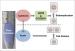 Cytokinins control endocycle onset by promoting the expression of an APC/C activator in Arabidopsis roots