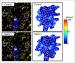 The mechanism of the force generation for axon outgrowth