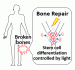 Controlling cell differentiation on photo-designable synthetic collagen-like scaffolds ～A first step for creating “designer organs & tissues” ～