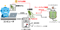 微生物とコンピュータが協力するハイブリッドなバイオプロセス制御システムを開発<br />
医薬品、食品、化学材料などの有用物質生産への応用に期待