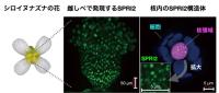 「生殖の壁」をつくるマスター因子の発見<br />
～種を超えた自在な作物育種へ～<br />
<br />
