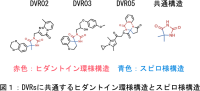 花を咲かせる時期を遅延させる新規低分子化合物を発見<br />
春化に関わる遺伝子の脱抑制の機構を解明<br />
～植物の成長タイミングを自在に操作し、環境の変化に耐える作物を得る技術開発へ～