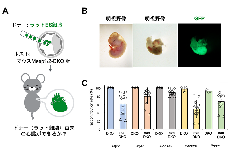 fig.3
