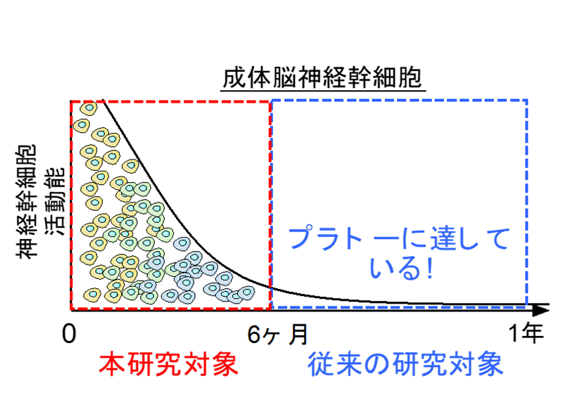 fig.1