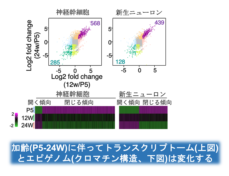 fig.1