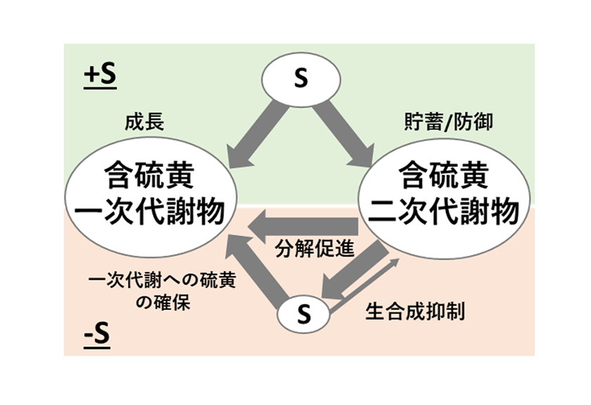 fig.2