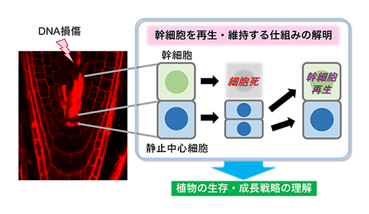 図1