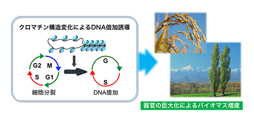 図3