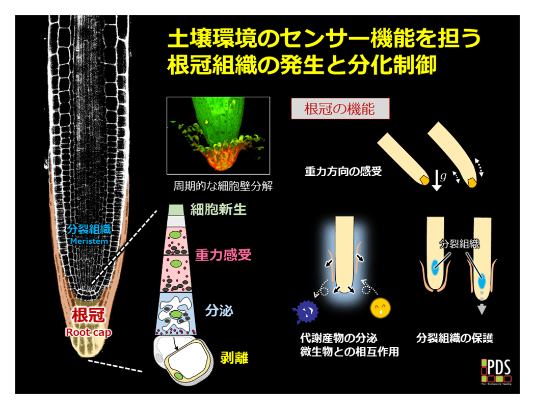 図2