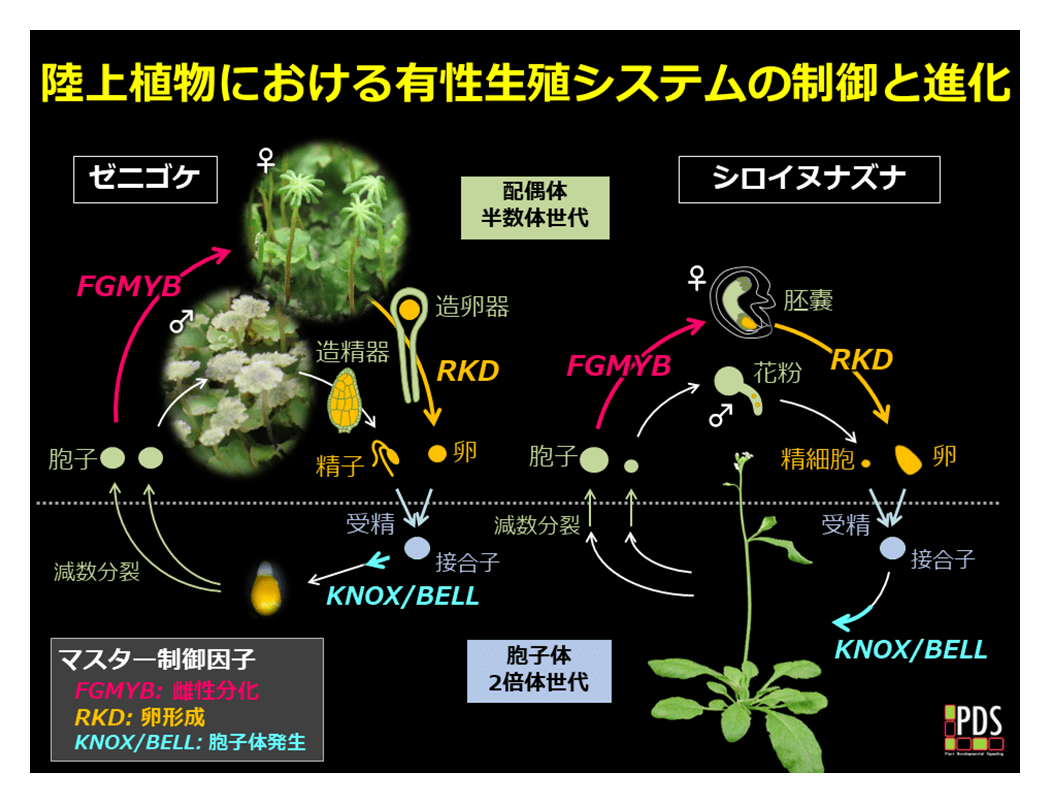 図3