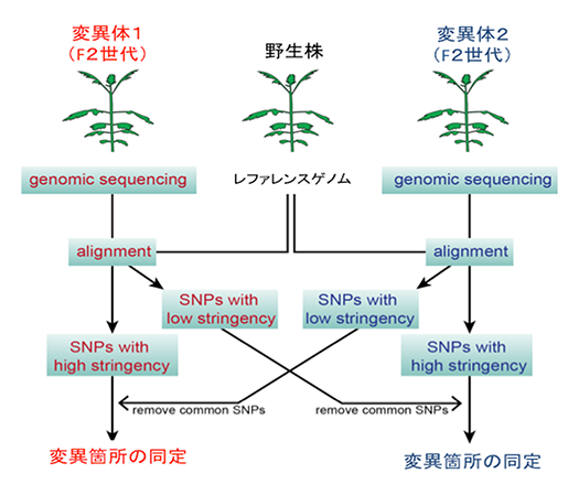 図3