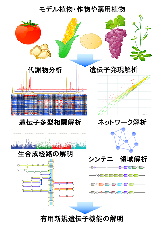 図2