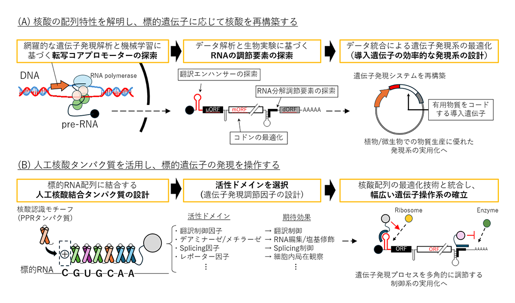 図2