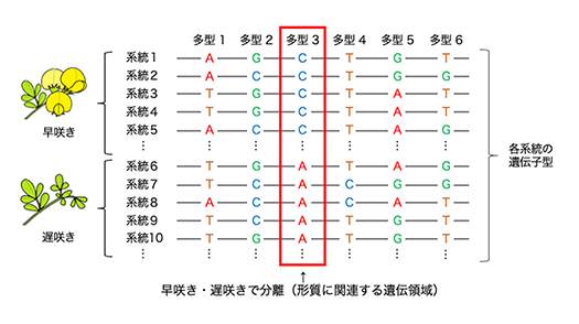 図3