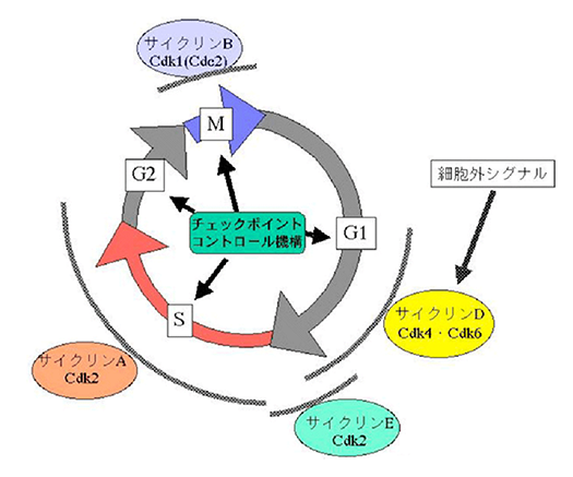 図2