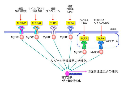 図2