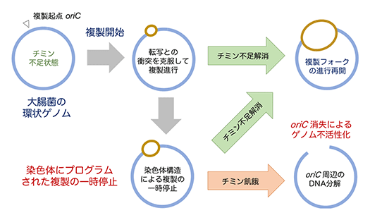 (図3)