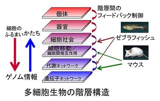 (図1) 