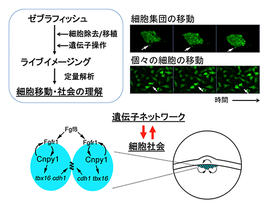 (図3) 