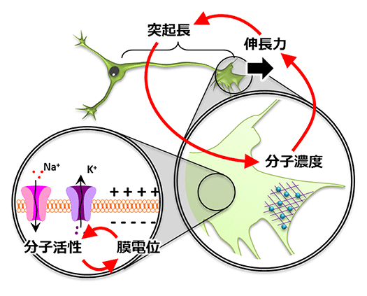 図1