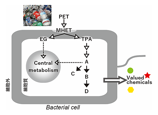 (図3) 