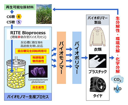 (図2) 