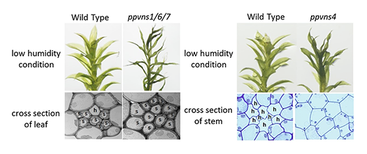 fig.2