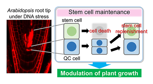 fig1