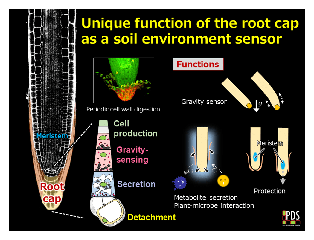 fig.2