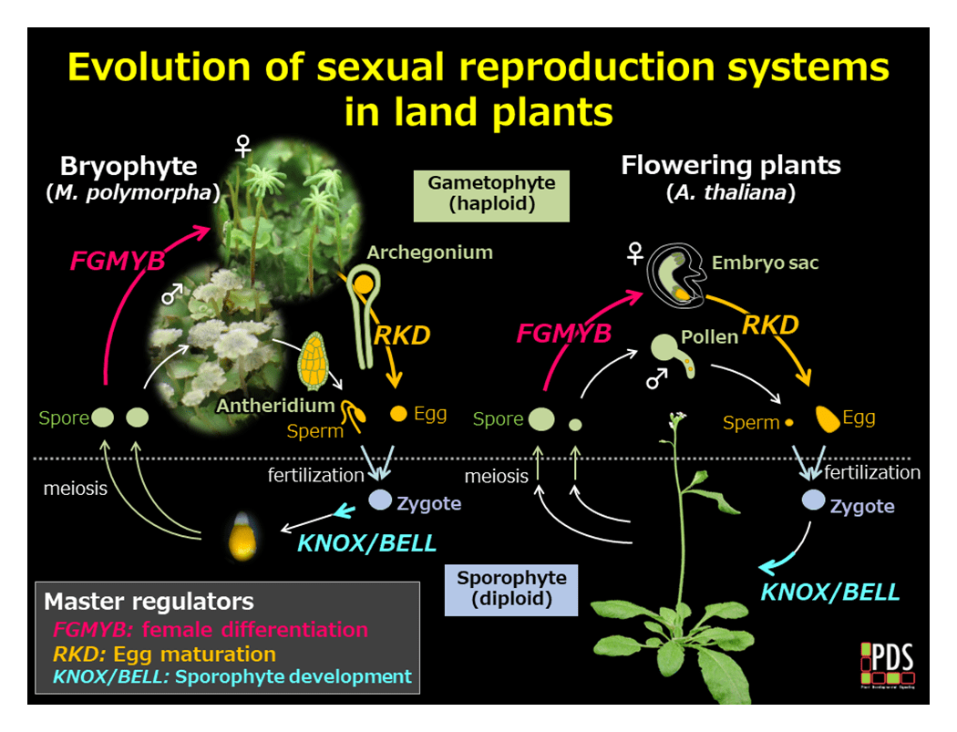 fig.3