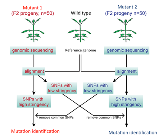 fig.3