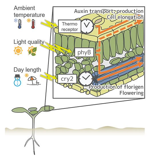 fig.1