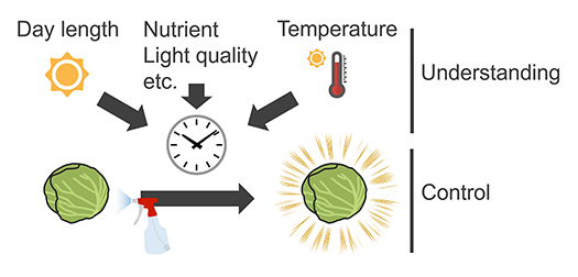 fig.2