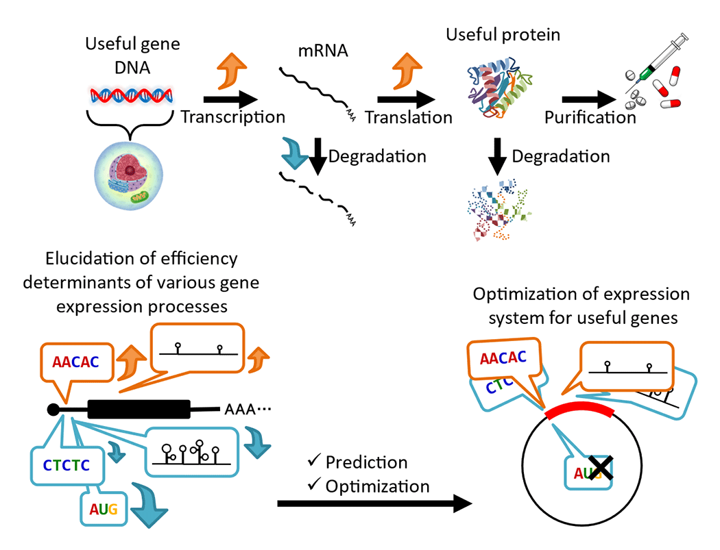 fig.2