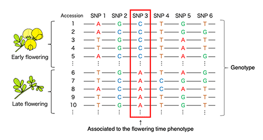 fig.3