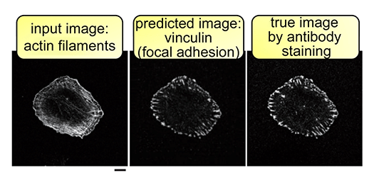 fig.3