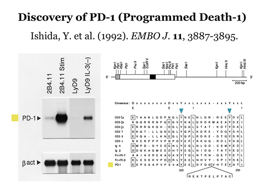 fig.1