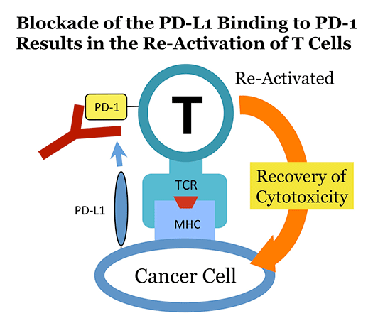 fig.3