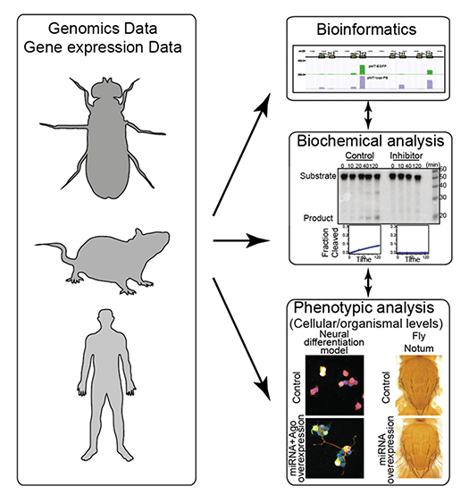 fig.2