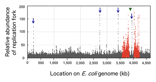 fig.2