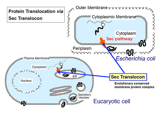 fig.1