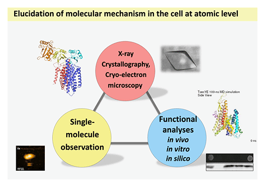 fig.3