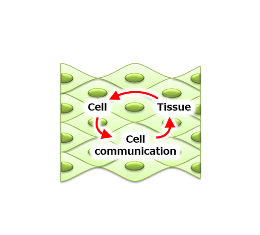 fig.2