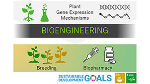 Bioengineering