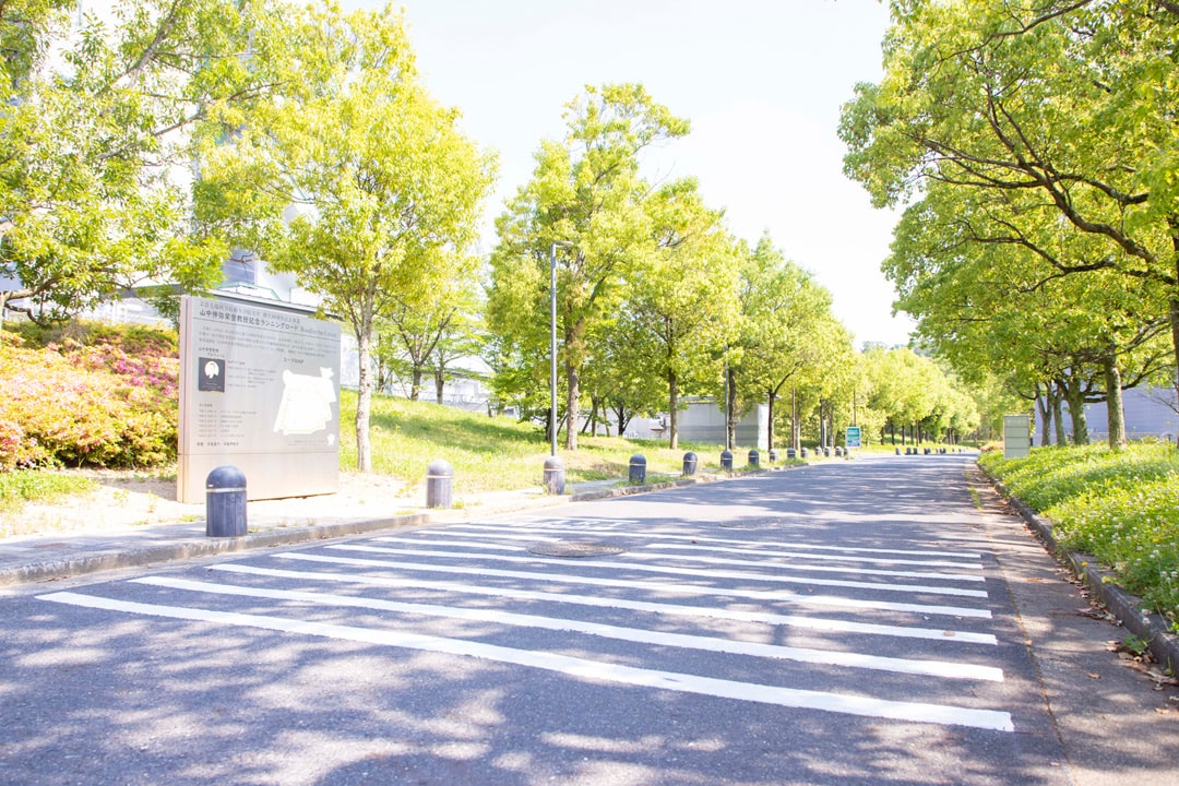 Memorial Running Road
