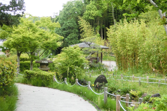 高山竹林園