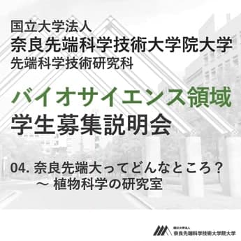 第4回 奈良先端大ってどんなところ？植物科学の研究室