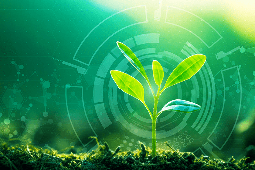 5年一貫コースイメージ図