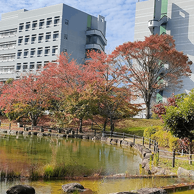 バイオ研究室バイオX記事画像